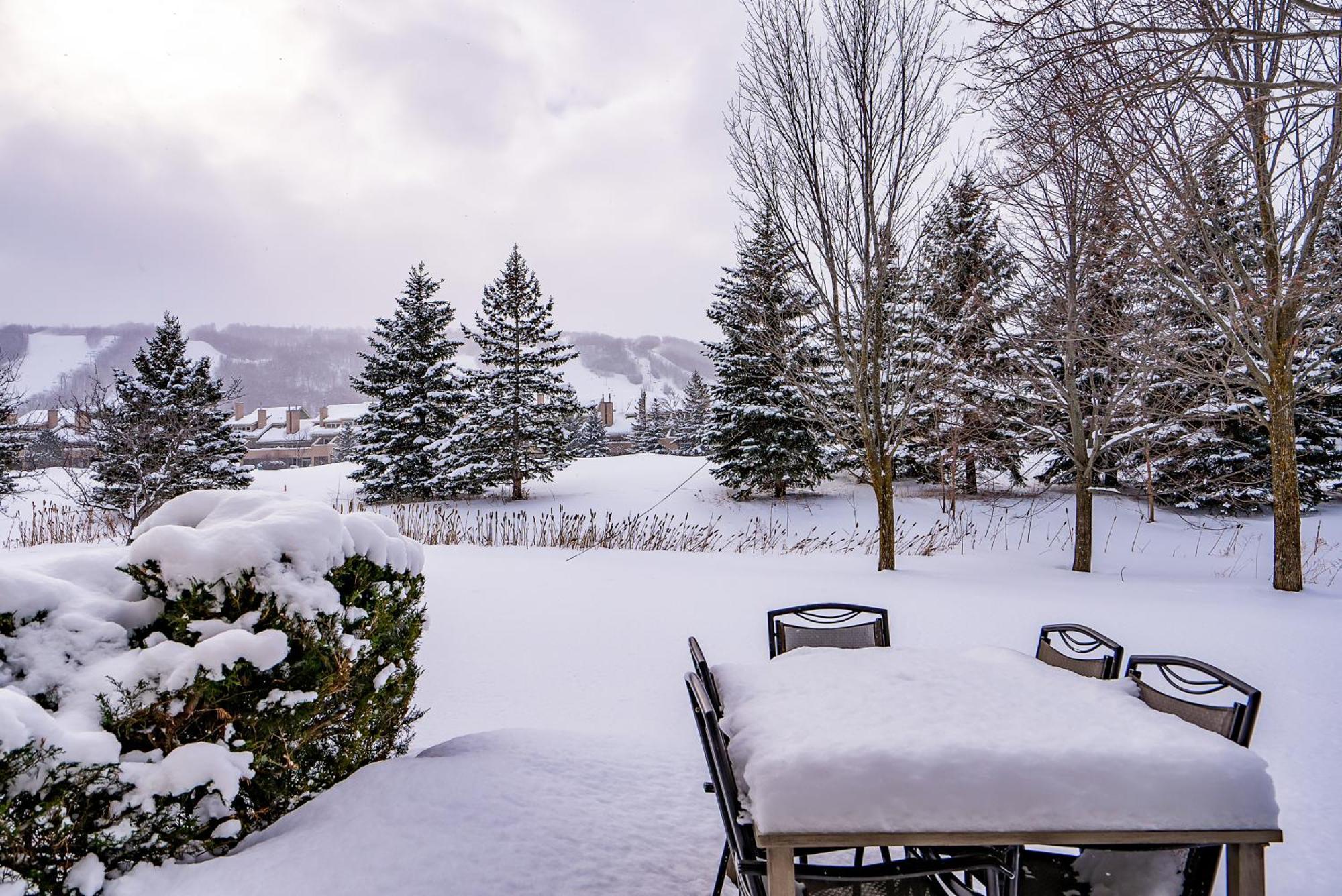 Luxurious Blue Mountain 3br & 3bth Walk-in To Village Holiday home *